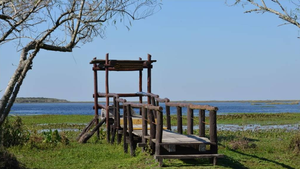 Palmares de yatay
