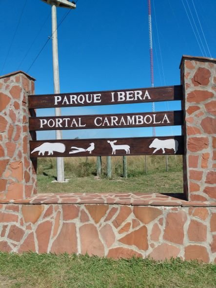Kayak en el Iberá